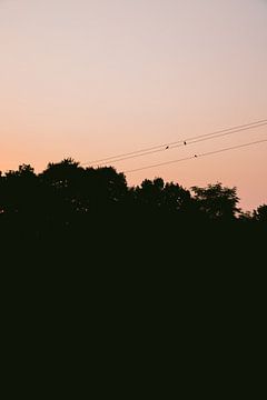 Oranje zonsondergang | Verona, Italië van Vy Van Nguyen