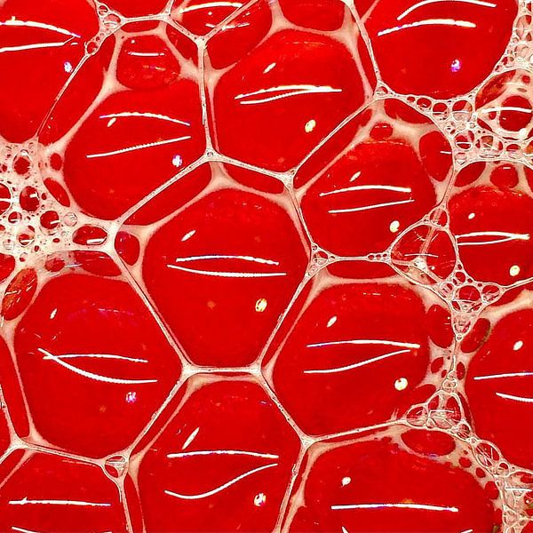 Art made in Photoshop ( square 30x30 cm ) by Henk Egbertzen