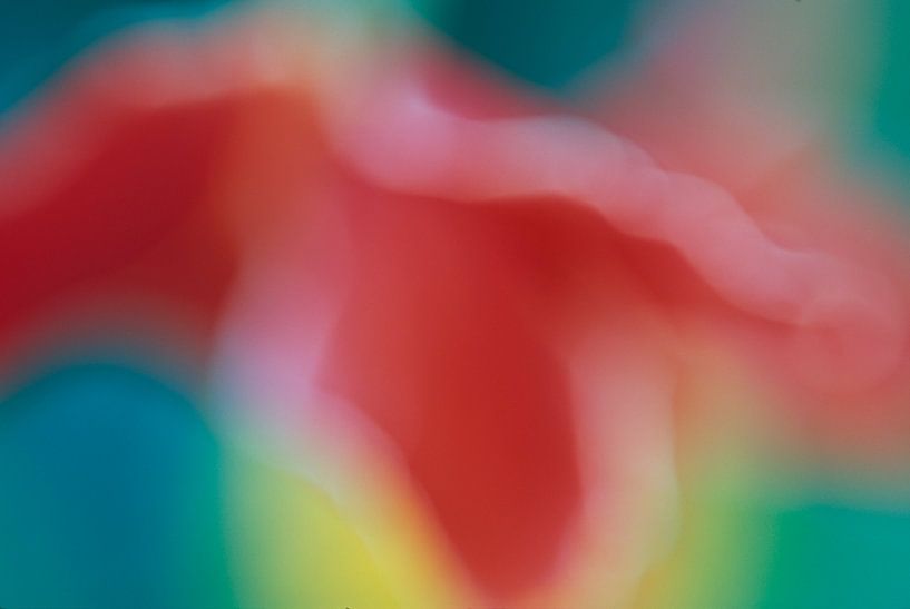 Glaïeul par Helmut Neumann Blütenfotografie