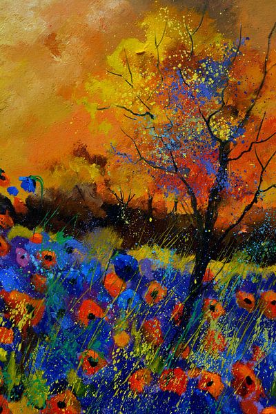 Poppies by pol ledent