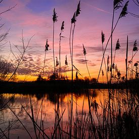 Kleurenpalet tijdens zonsondergang van Marloes Post