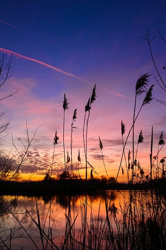 Palette de couleurs au coucher du soleil