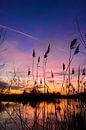 Kleurenpalet tijdens zonsondergang van Marloes Post thumbnail