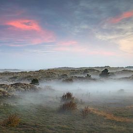 Zonsopgang op Terschelling met nevel in de duinen en rose wolken von Karin de Jonge