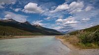 Athabasca River, Jasper National Park, Rocky Mountains, Alberta, Canada van Alexander Ludwig thumbnail