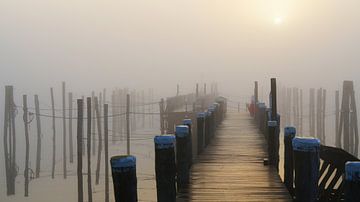 Goldener Morgennebel am einsamen Hafen von Bodo Balzer