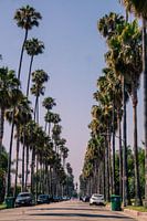 Beverly Hills streets are special