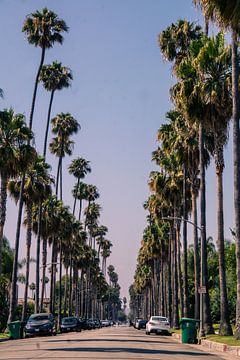 Beverly Hills straten zijn speciaal van Nynke Nicolai