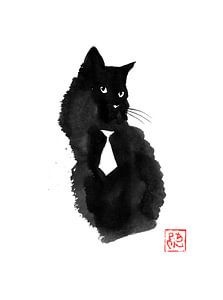 zwarte kat witte das van Péchane Sumie