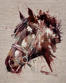 Pferdekopf in Aquarell und Ostindischer Tinte