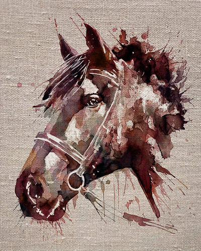 Horse’s head in watercolour and Indian ink