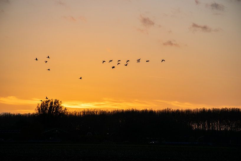 Follow the sun by Ingrid de Vos - Boom