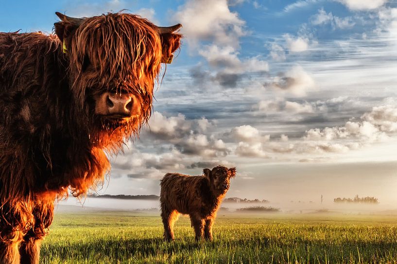 Cinematic Scottish Highlanders by Ferdinand Mul