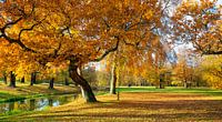In het Prins Pücklerpark Bad Muskau