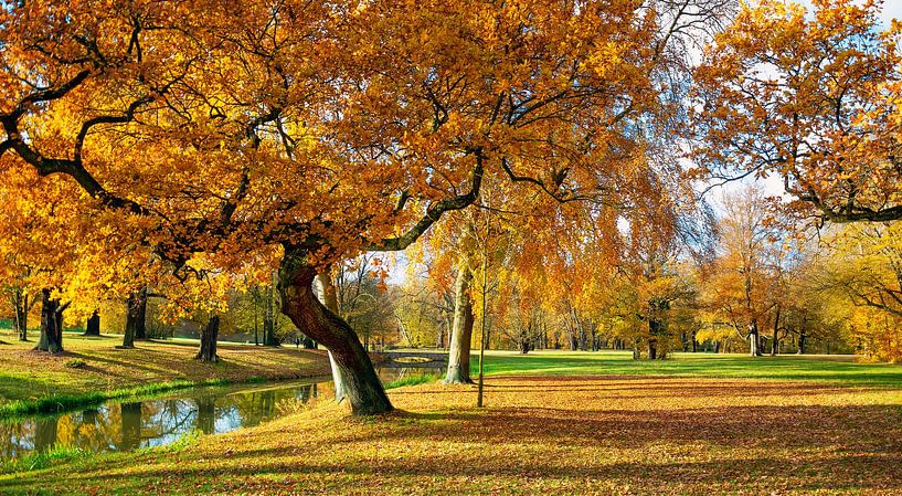 In het Prins Pücklerpark Bad Muskau van Johann Pavelka