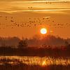 Ochtendgloren over de Biesbosch van Jan Jansen Natuurfotografie