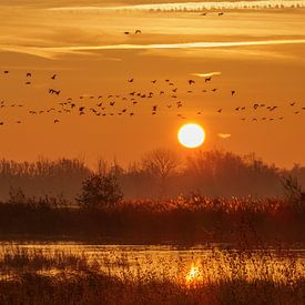 Dawn over the Biesbosch by Jan Jansen