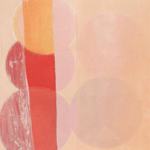 Camouflaged Circles 03