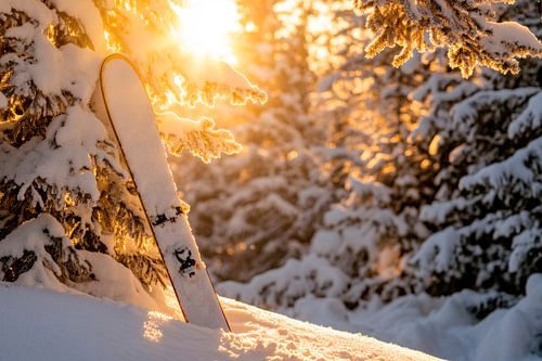 Zonsondergang in de sneeuw