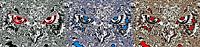 Trilogie : Visage de hibou