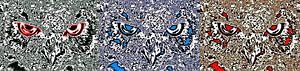 Trilogie : Visage de hibou