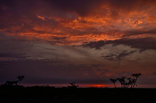 Zonsondergang Boven De Weilanden