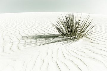 Dunes | Vintage van Melanie Viola