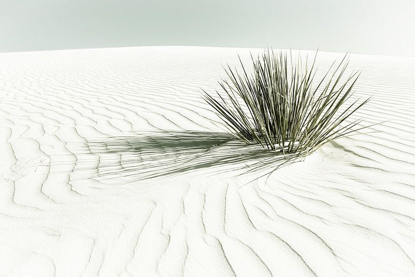 Dunes | Vintage van Melanie Viola