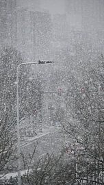 Schneevorhang in der Stadt von Bambi Lu