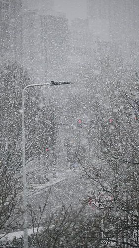 Sneeuwgordijn in de Stad