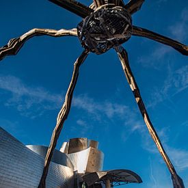 Reuzenspin bij het Guggenheim museum in Bilbao. van Frans Scherpenisse