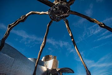 Reuzenspin bij het Guggenheim museum in Bilbao. van Frans Scherpenisse