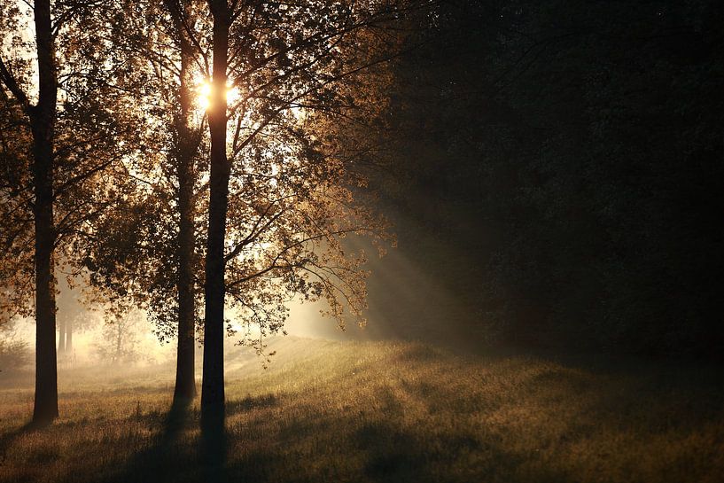 L'atmosphère par Jana Behr