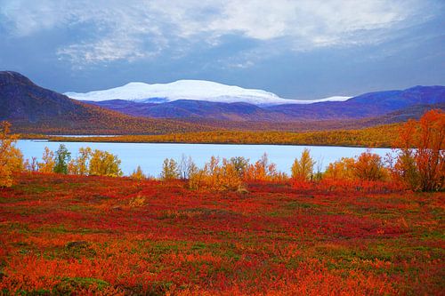 In het hoge noorden in Zweeds Lapland