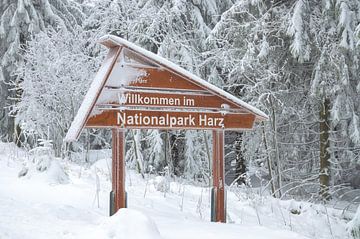 Winter in het Nationaal Park Harz van Peter Eckert