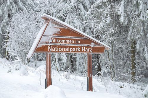 Winter in het Nationaal Park Harz