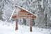Winter im Harz Nationalpark von Peter Eckert