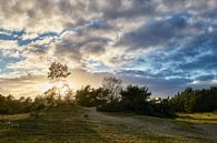 Wolkenlucht boven de Veluwe van Cor de Hamer thumbnail