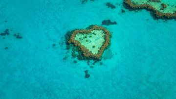 Heart Reef in het Groot Barrièrerif van Martin Wasilewski