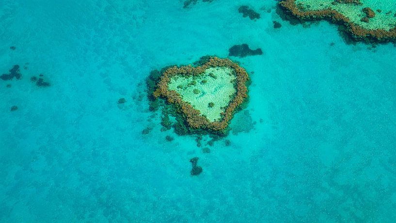 Heart Reef in het Groot Barrièrerif van Martin Wasilewski