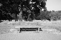 Die Natur entdecken in einem Waldgebiet im Emsland, Niedersachsen, Deutschland