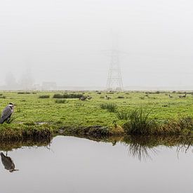 Blauwe reiger in de mist op een weiland in Durgerdam van Jeroen de Jongh Fotografie