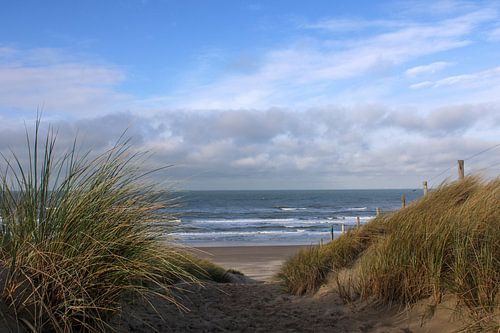 Dune path the beach and the sea