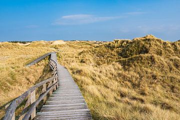 Landscape in the dunes in Norddorf on the island Amrum by Rico Ködder