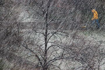 Raue Tage in Sophia von Reinier de Rooie