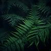 Fougères dans une forêt sombre sur Moody Mindscape
