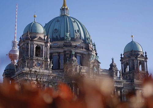 Berlin Dom in de koude winter