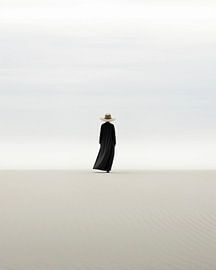 Aesthetic minimalism