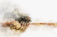 Insecten 2 van Silvia Creemers thumbnail