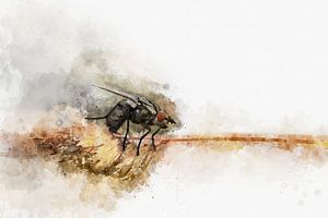 Insecten 2 van Silvia Creemers